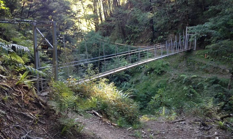 Lankeys Creek Loop, West Coast