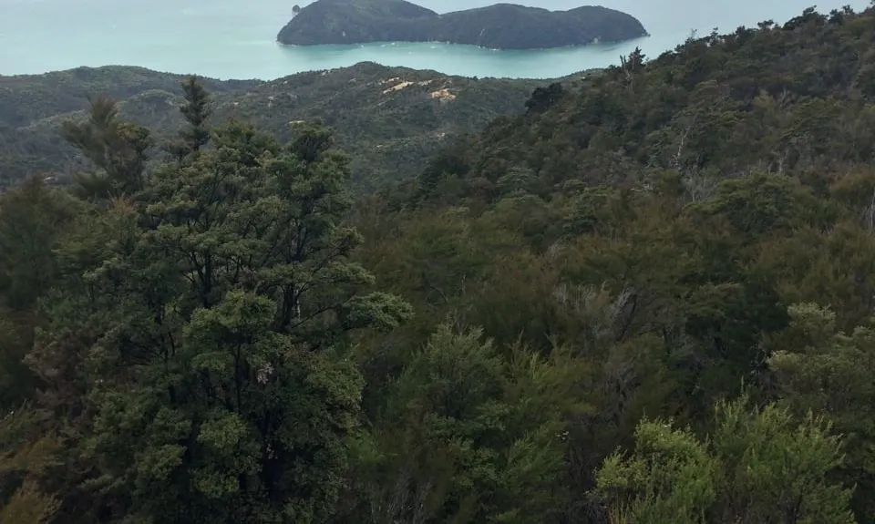 Abel Tasman Double Dip, Tasman