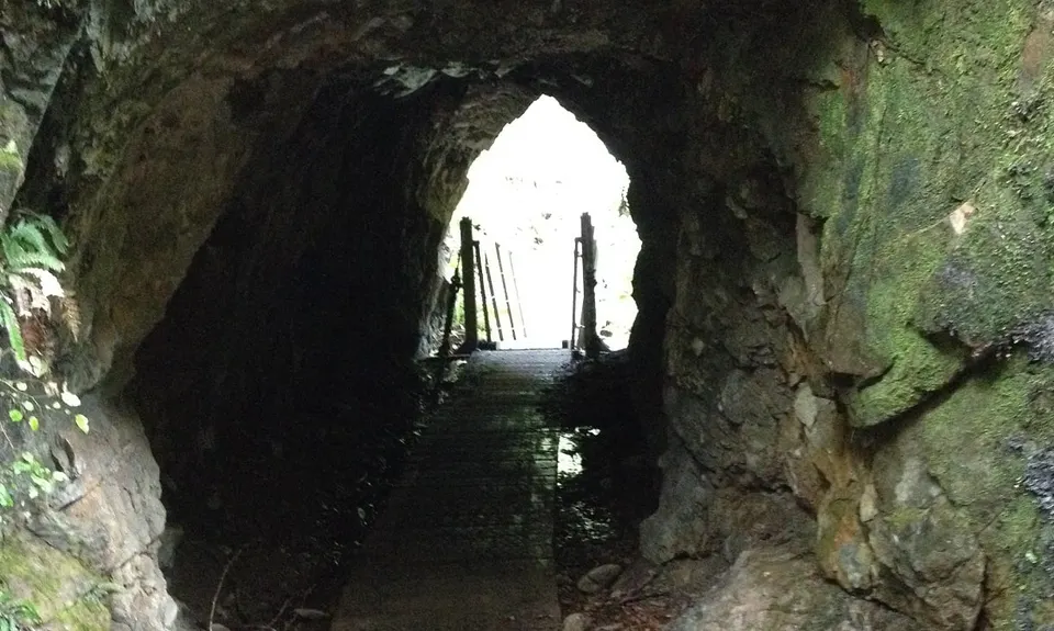 Kirwans Track Loop, West Coast