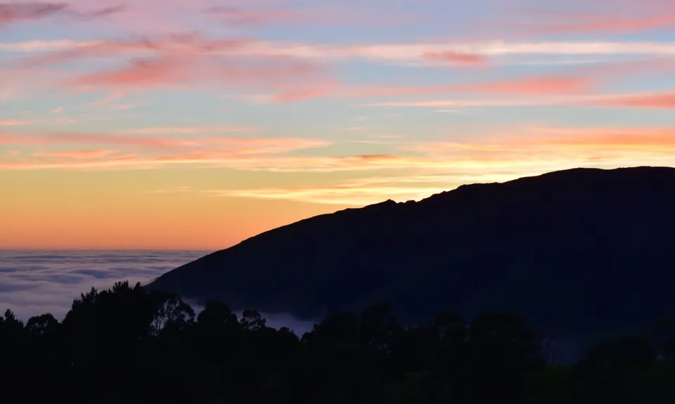 Lyttelton to Diamond Harbour, Canterbury