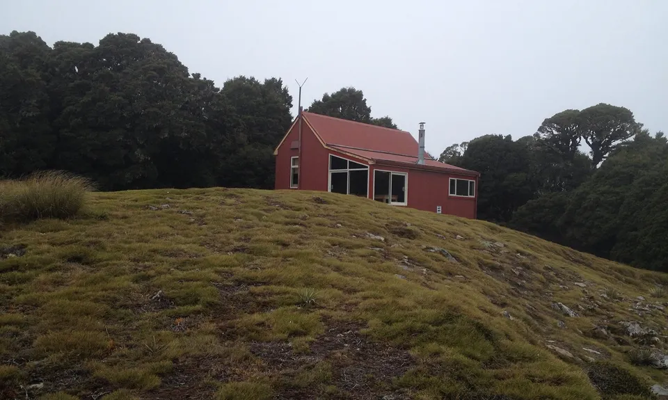 Kirwans Track Loop, West Coast