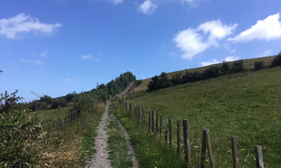 Summerhill Tracks, Manawatu - Wanganui