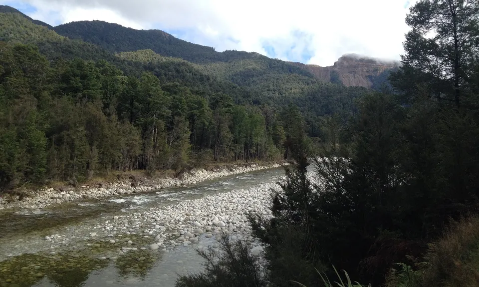 Kirwans Track Loop, West Coast