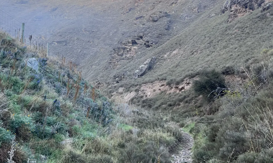 Shakey Loop, Otago