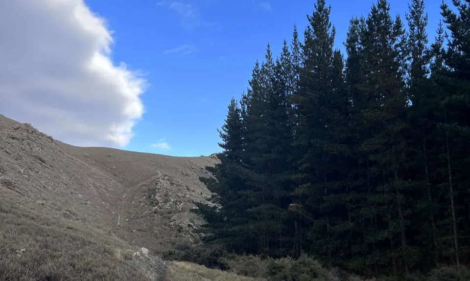 Shakey Loop, Otago