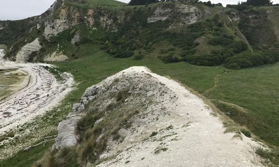 Kaikoura Cracker, Canterbury