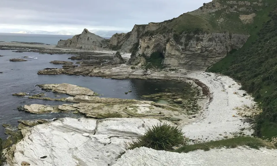 Kaikoura Cracker, Canterbury