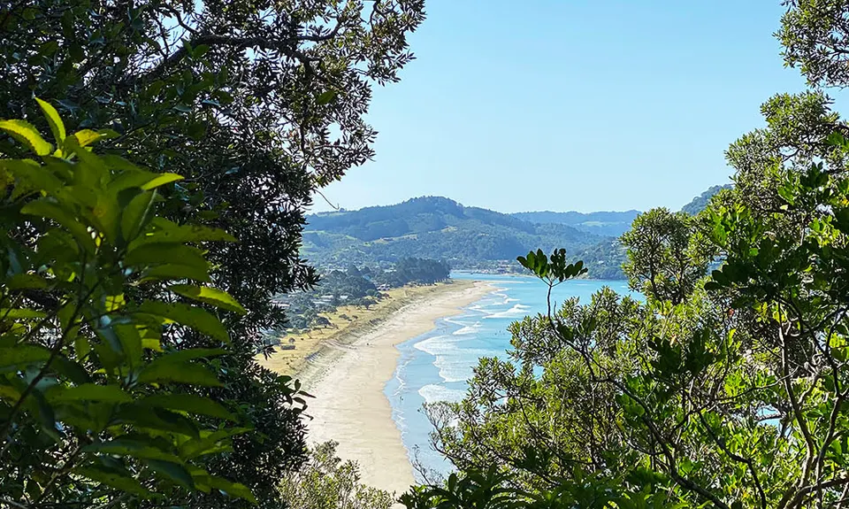 Pauanui Summit Loop, Waikato