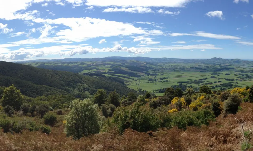 Maukaatua Track Out and Back, Otago