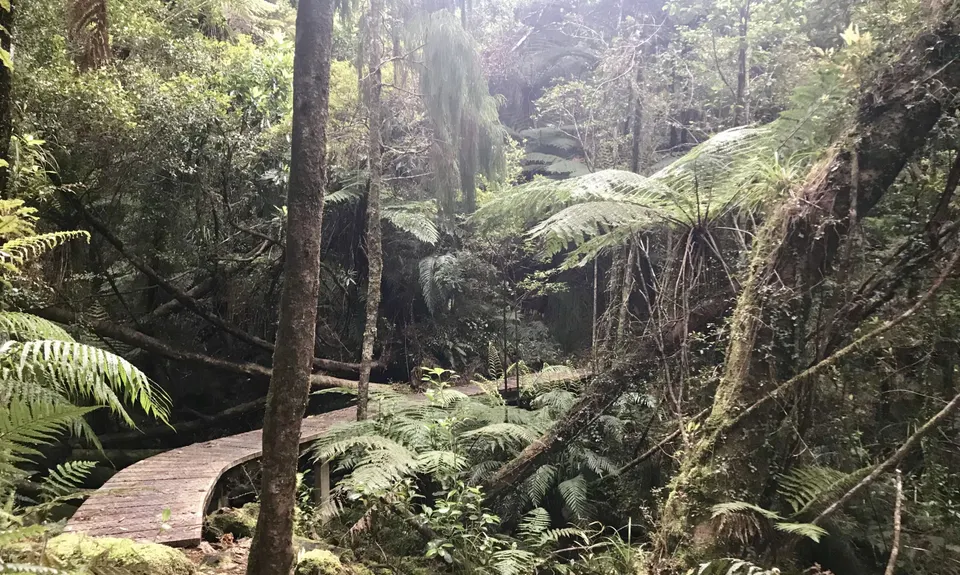 Loop Lake Kaniere, West Coast