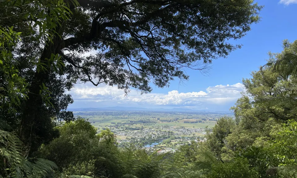 Hilly Hakarimata, Waikato