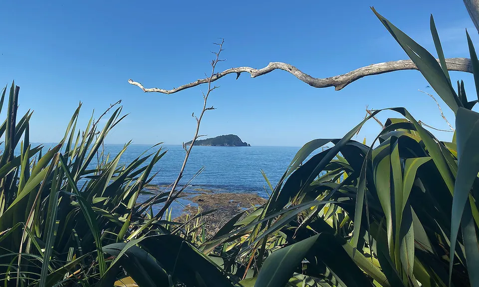 Pauanui Summit Loop, Waikato