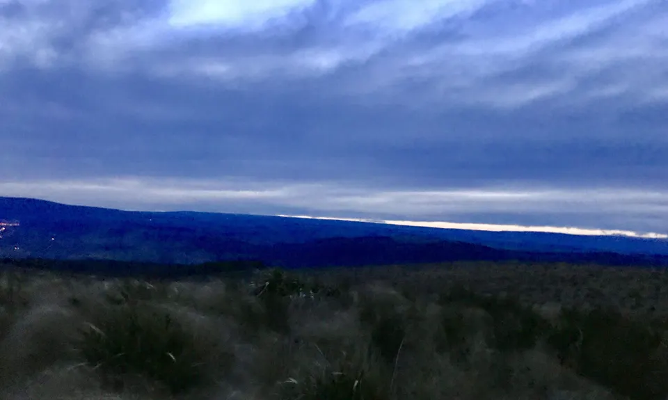 Flagstaff Swampy Circuit, Otago