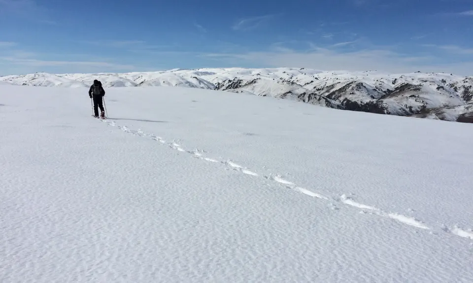 Rock Peak Track, Otago