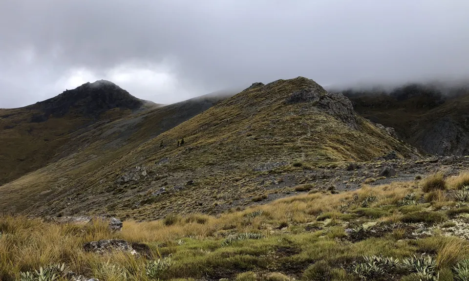 Mount Ellis
