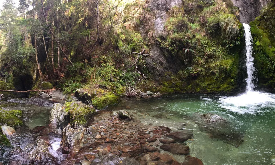 Mt. Crichton Loop, Otago