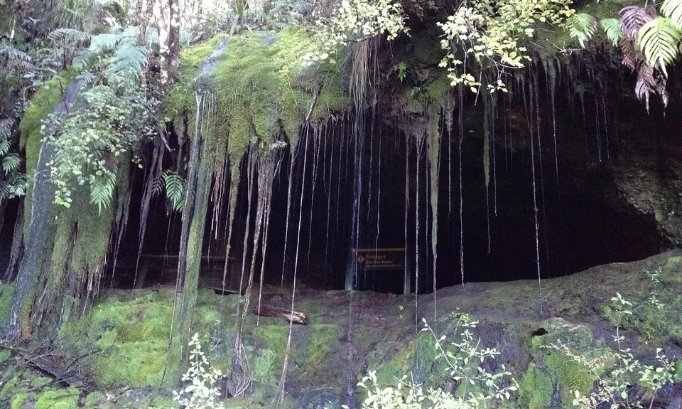 Lankeys Creek Loop, West Coast