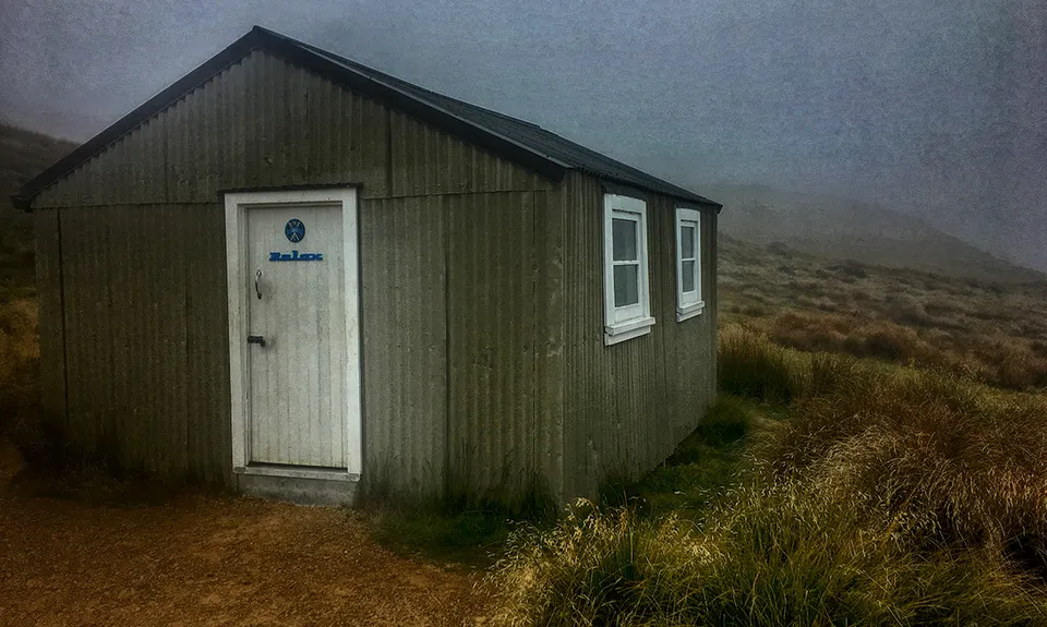 Speargrass - Robert Ridge, Tasman