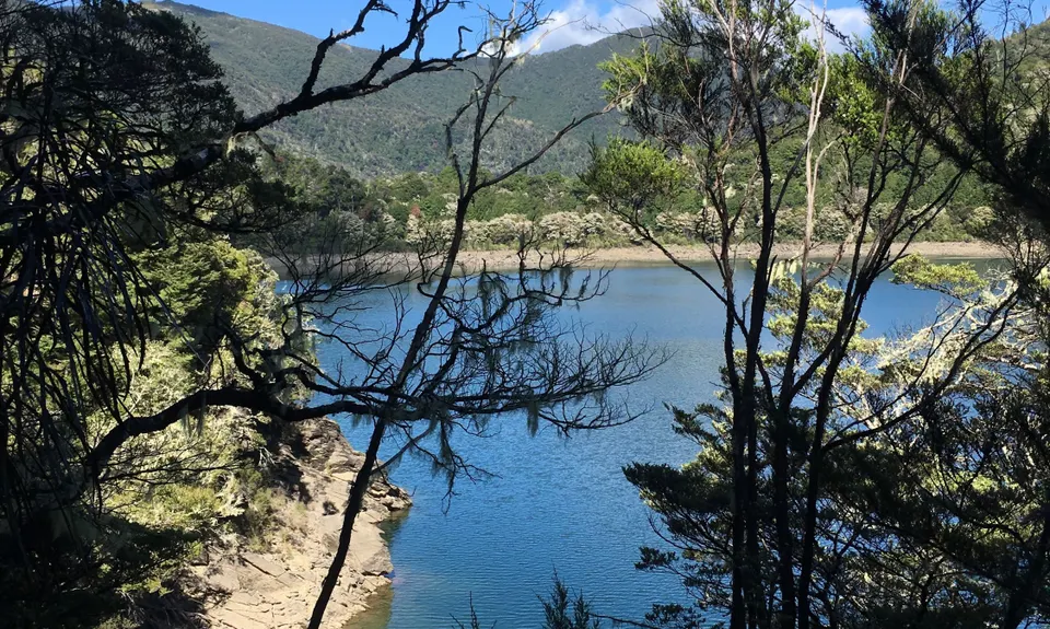 Lake Chalice loop, Marlborough