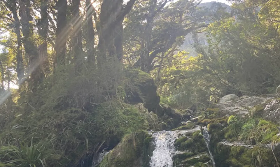 Hollyford Road - Routeburn Loop via Deadmans and Pass Creek, Southland
