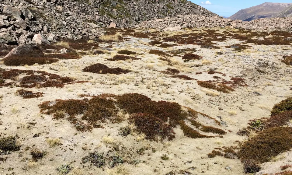 Cameron Hut return, Canterbury