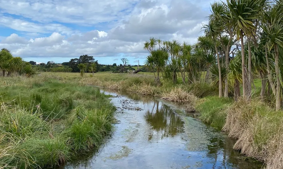 Watercare Coastal Walkway, Auckland
