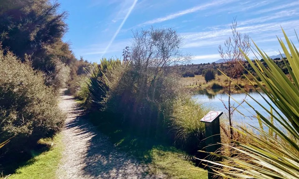 Butterfields Wetlands Loop, Otago