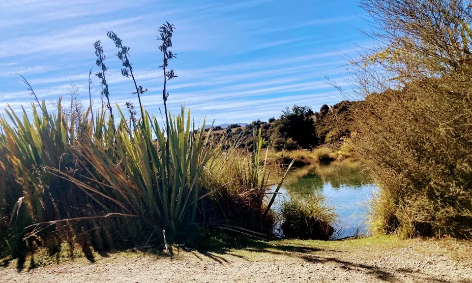 Butterfields Wetlands Loop, Otago