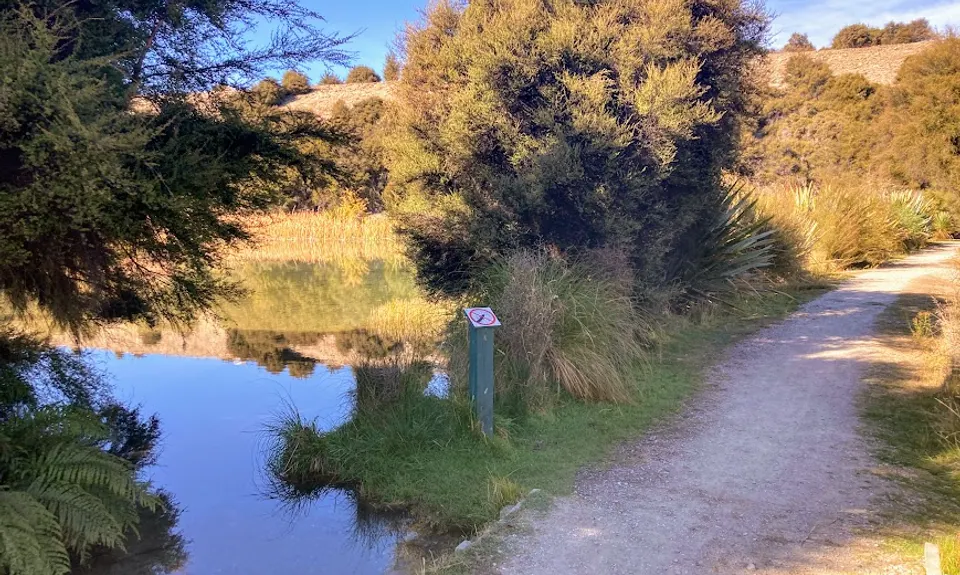 Butterfields Wetlands Loop, Otago
