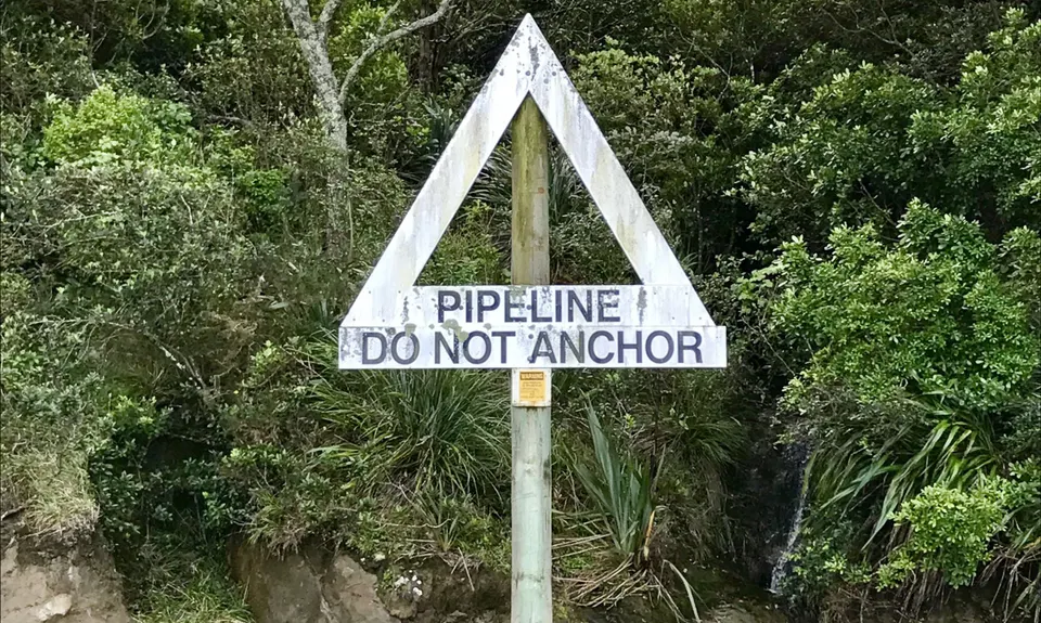 Inner City Bush Trails, Auckland