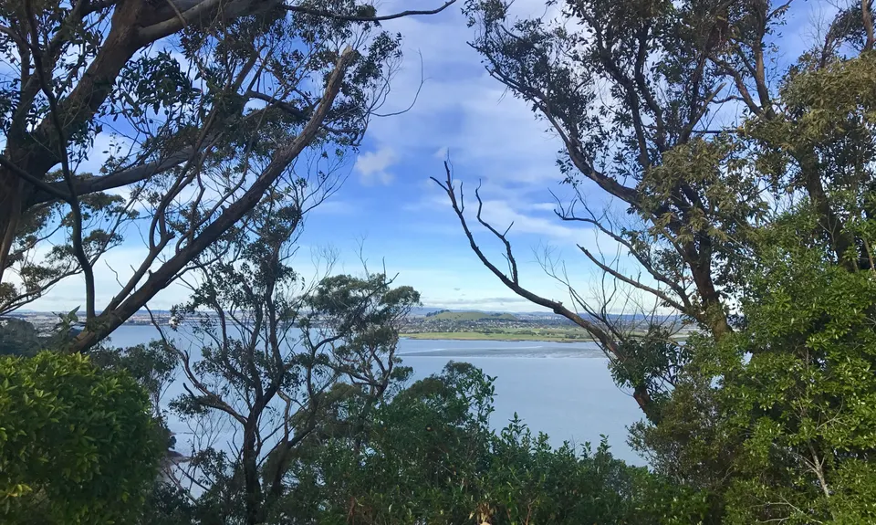 Inner City Bush Trails, Auckland