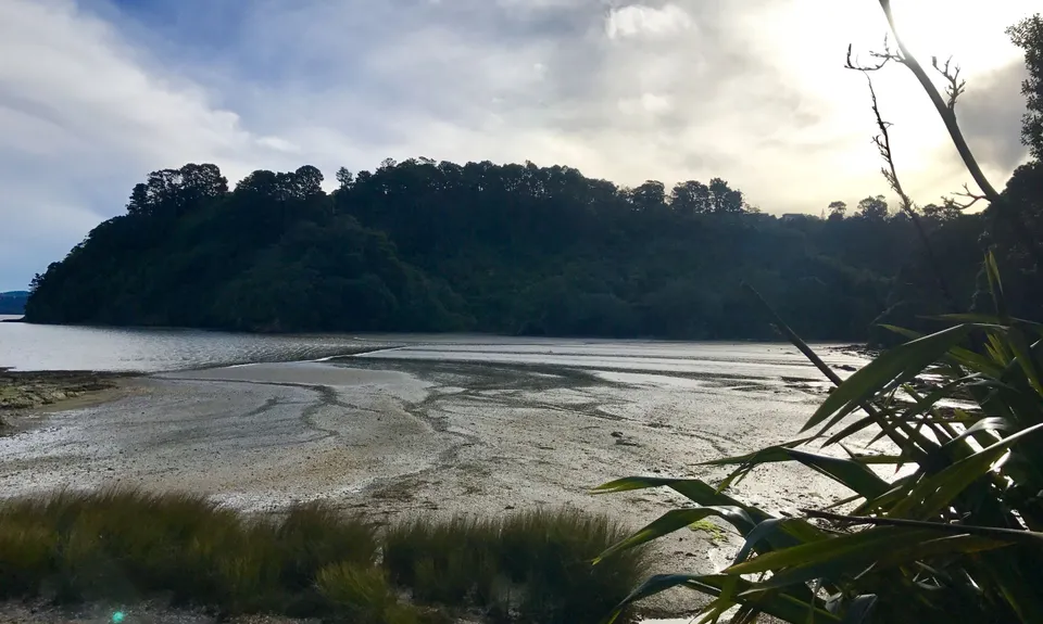 Inner City Bush Trails, Auckland
