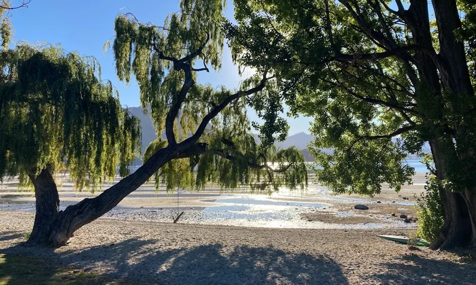 Around Roys Bay, Otago