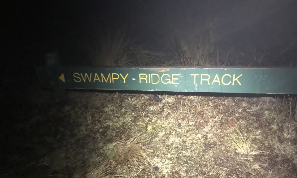 Leith Valley Swampy Circuit, Otago