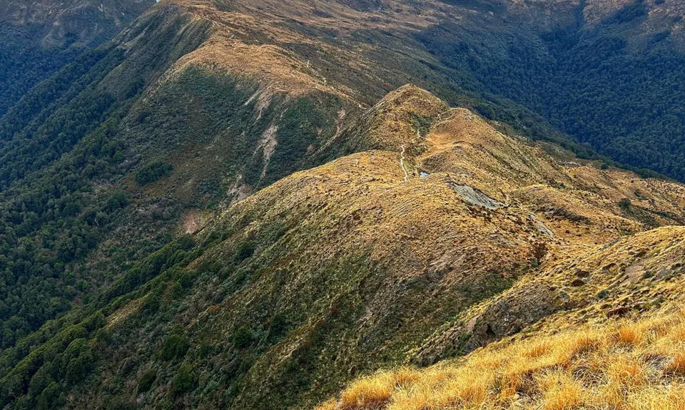 Croesus Knob
