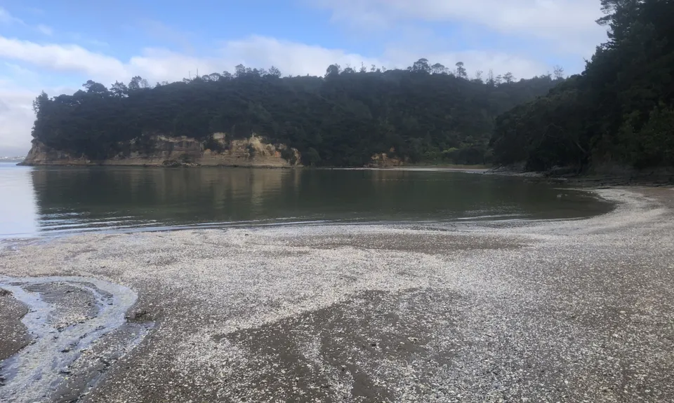 The James Vowles Inspiration Circuit , Auckland
