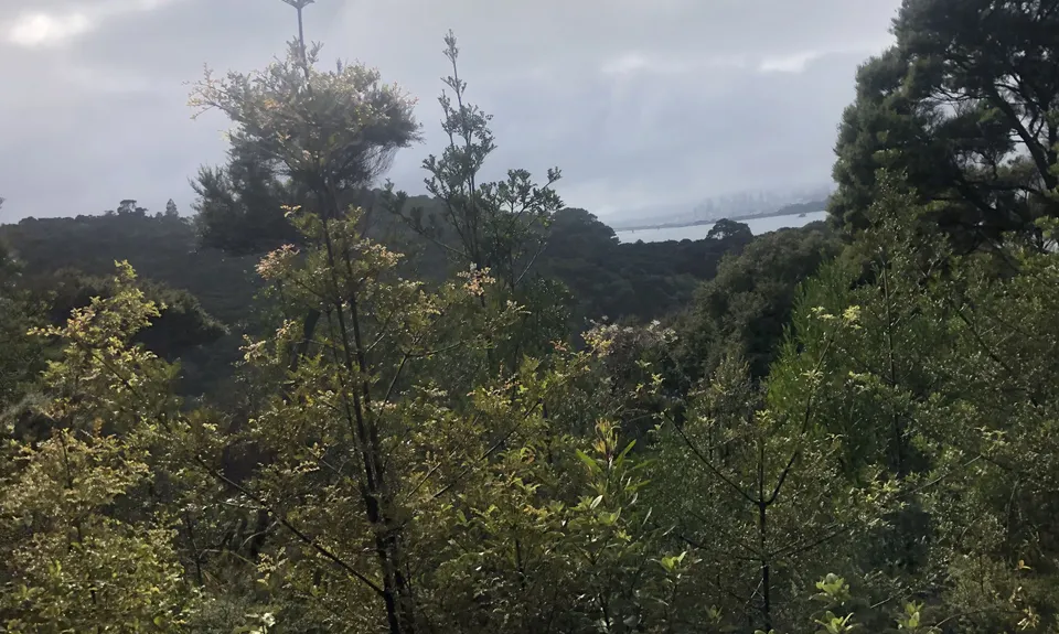 The James Vowles Inspiration Circuit , Auckland