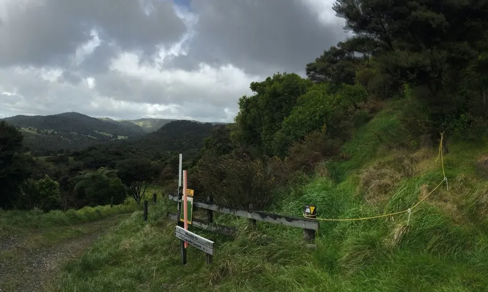 Cascade Kauri Outer Loop, Auckland