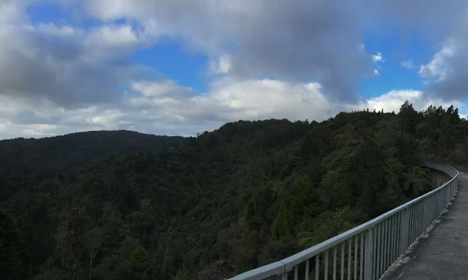 Cascade Kauri Outer Loop, Auckland