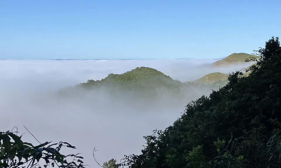 Manawatu Gorge Track, Manawatu - Wanganui