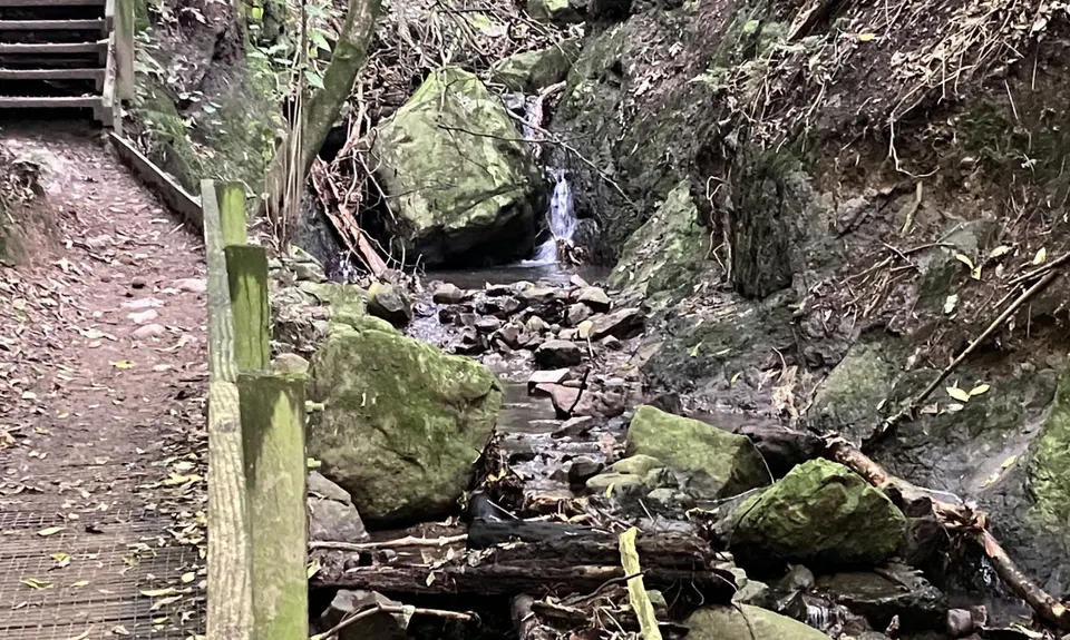 Manawatu Gorge Track, Manawatu - Wanganui