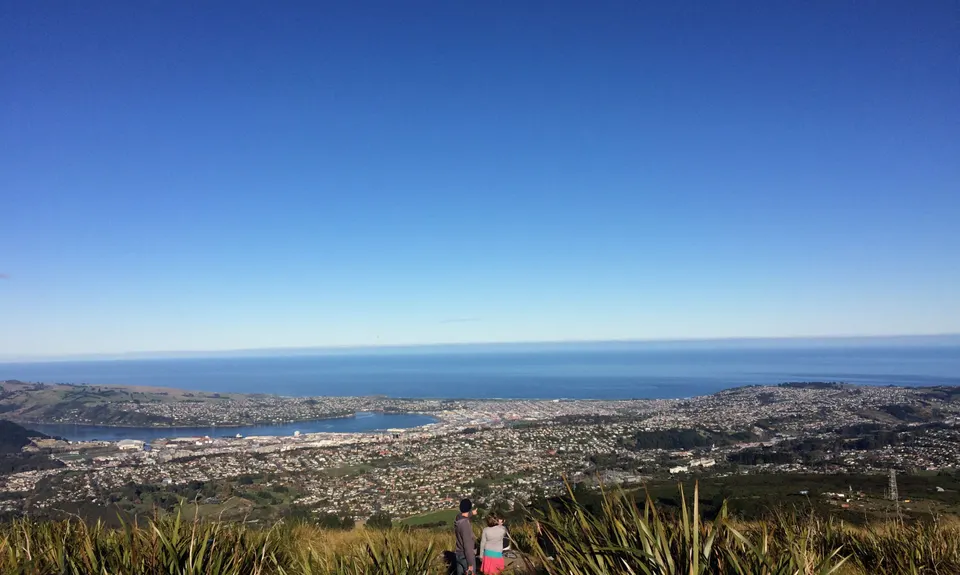 Pineapple and Flagstaff, Otago
