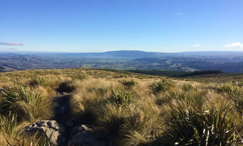 Pineapple and Flagstaff, Otago