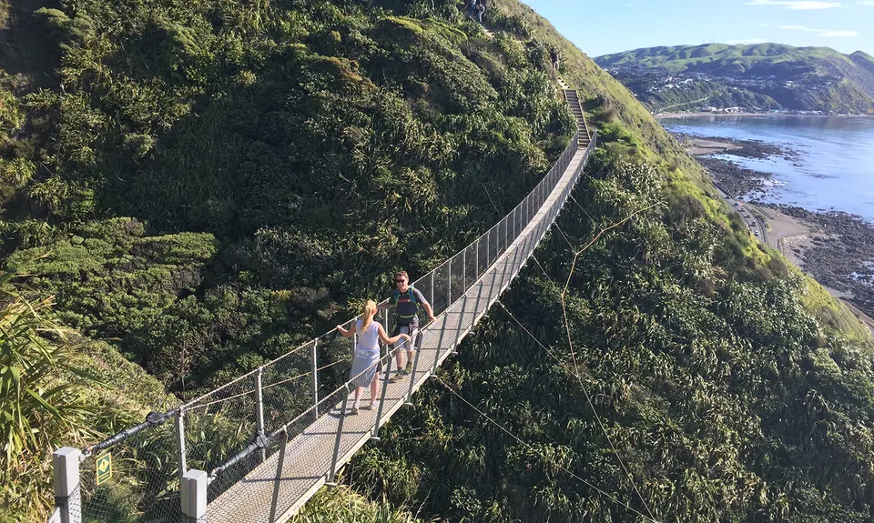 Escarpment Track, Wellington