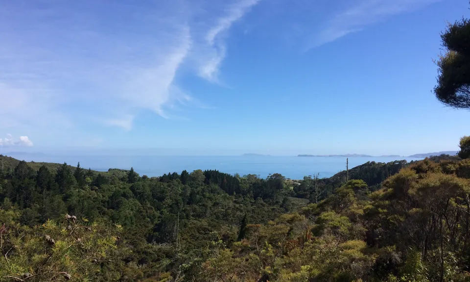 Matarangi & Rings Beach Loops, Waikato