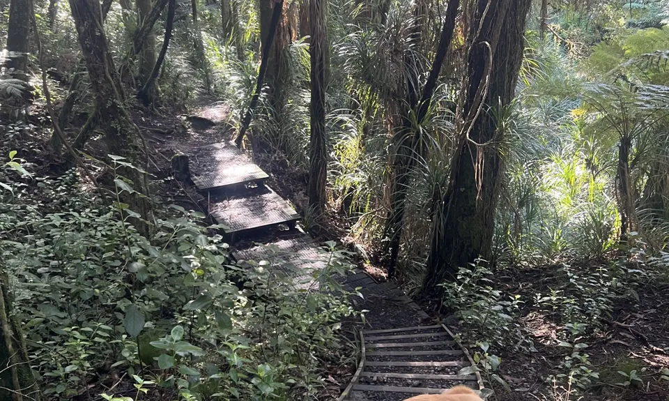 Northcote Multi Trail Loop, Auckland