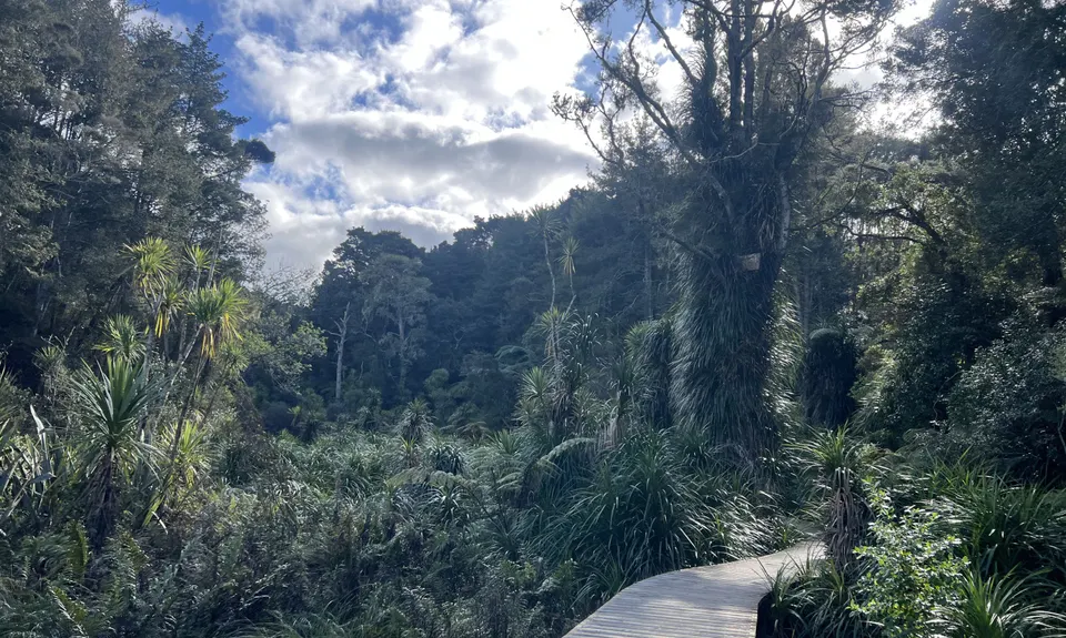 Northcote Multi Trail Loop, Auckland