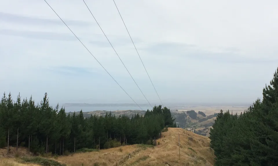 Rockin' the Mill, Hawkes Bay