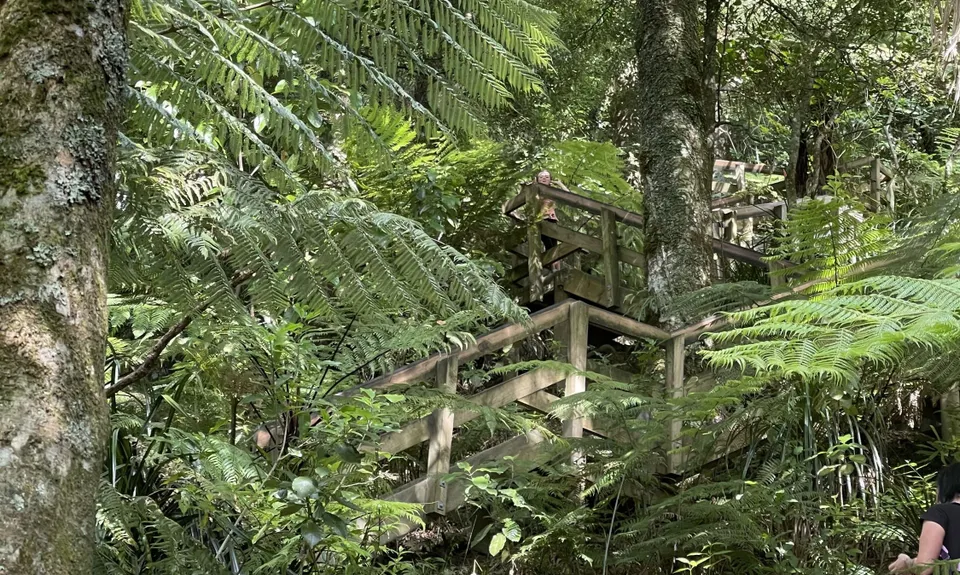 Hilly Hakarimata, Waikato