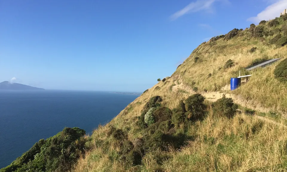Escarpment Track, Wellington